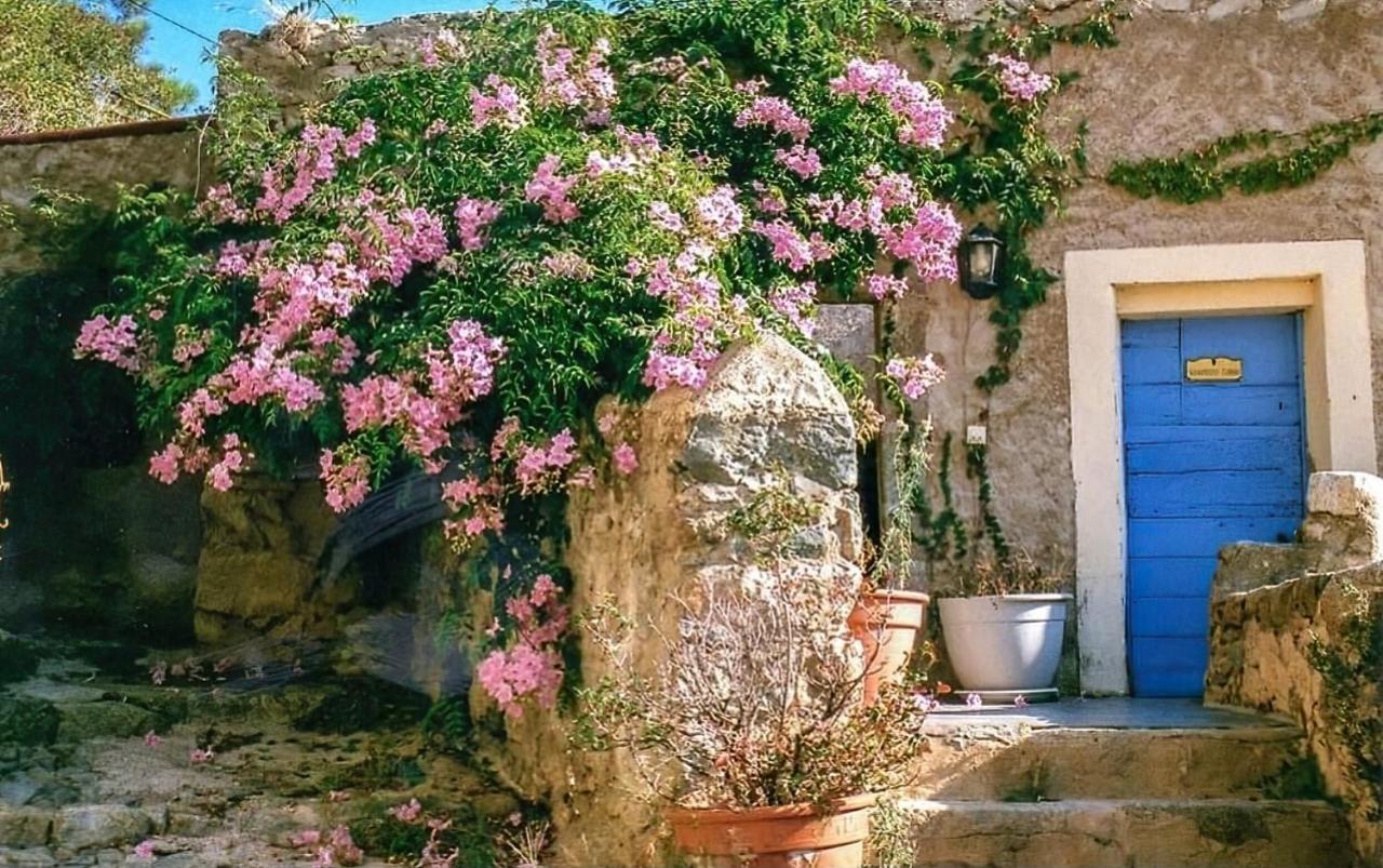Le Patio. Casa Mucchielli Bed & Breakfast Corbara Bagian luar foto